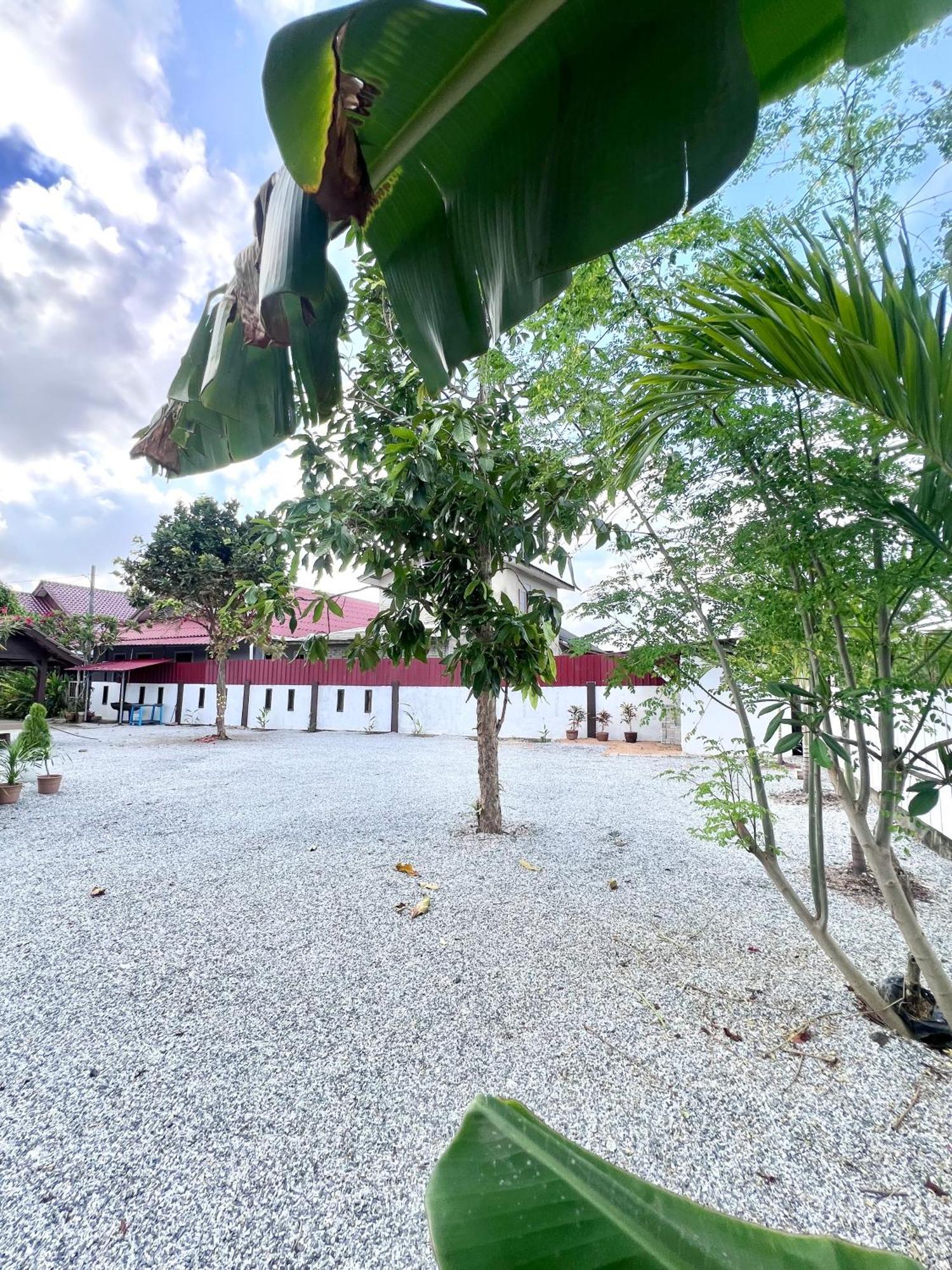 Teratai Homestay 3 Batu Buruk Kuala Terengganu Exteriér fotografie